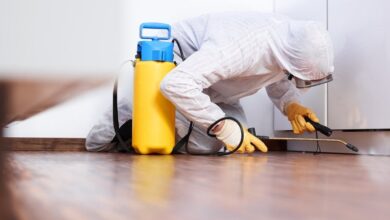 صورة شركة مكافحة حشرات العين 0505326410